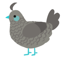 Bennett, a ash and grey chicken with a lace pattern
