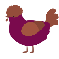 (unnamed), a wine and russet chicken