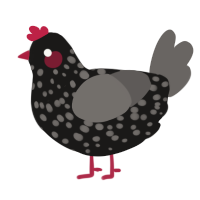 A sable and grey chicken with a speckle pattern
