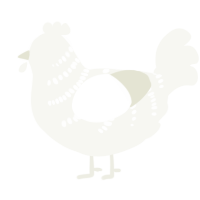 A white chicken with a half-bar pattern