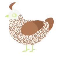 A white and brown chicken with a double-lace pattern