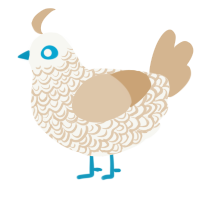 (unnamed), a white and beige chicken with a double-lace pattern