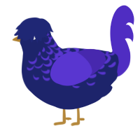 Leorias, a navy and indigo chicken with a half-lace pattern