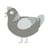 A ash and silver chicken with a neck-band pattern