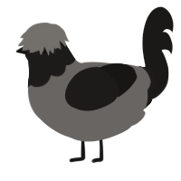A grey and sable chicken with a head pattern