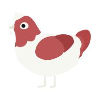 Kohaku, a white and red chicken with a head pattern