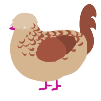 hazelnut choccy, a beige and russet chicken with a half-lace pattern