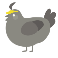A ash and grey chicken