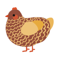 Chuck, a russet and honey chicken with a lace pattern