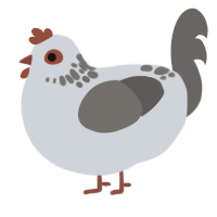 A mist and grey chicken with a neck-speckle pattern
