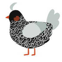 (unnamed), a black and silver chicken with a double-lace pattern