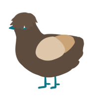 Table, a bark and beige chicken