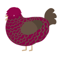 A maroon and bark chicken with a lace pattern