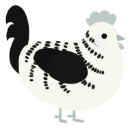 A white and black chicken with a half-bar pattern