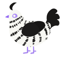 (unnamed), a white and sable chicken with a bar pattern