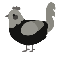 A black and ash chicken with a head pattern