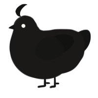 Chitterchip, a sable and black chicken