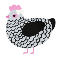 A mist and black chicken with a lace pattern
