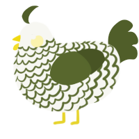 A white and olive chicken with a lace pattern