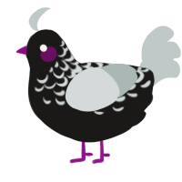 A sable and silver chicken with a half-lace pattern