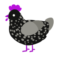 End Portal Texture, a black and ash chicken with a speckle pattern