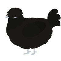 A sable and black chicken with a head pattern