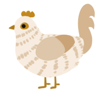 A cream and beige chicken with a bar pattern