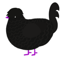 (unnamed), a black and sable chicken with a lace pattern