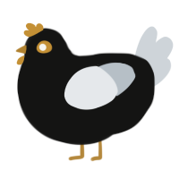 frank, a black and mist chicken
