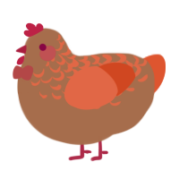 tonkey, a brown and vermilion chicken with a half-lace pattern