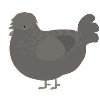 A grey chicken with a half-lace pattern