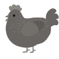A grey chicken with a half-lace pattern