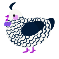 Black Lace, a white and tumblr chicken with a lace pattern