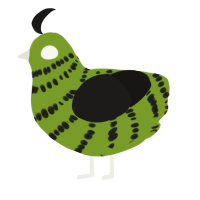 Naib Subedar, a chartreuse and sable chicken with a bar pattern