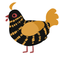 (unnamed), a black and orange chicken with a bar pattern
