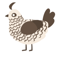 Penelope, a cream and bark chicken with a lace pattern