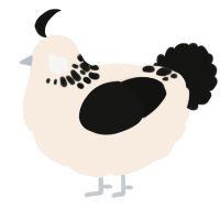 Cookies and Cream, a cream and black chicken with a neck-speckle pattern