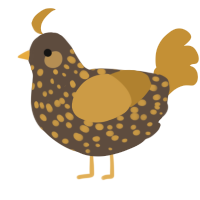 A bark and gold chicken with a speckle pattern