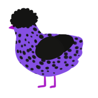 A blurple and black chicken with a speckle pattern