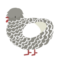 A ash and white chicken with a lace pattern
