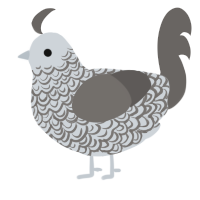 A mist and grey chicken with a double-lace pattern