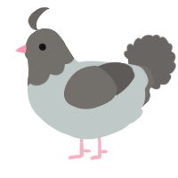 A silver and grey chicken with a head pattern