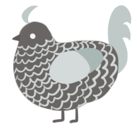 Crash, a grey and silver chicken with a lace pattern