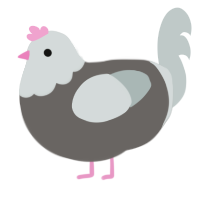 A grey and silver chicken with a head pattern