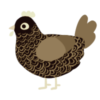 A black and russet chicken with a double-lace pattern