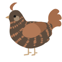 Sugar Cube, a bark and brown chicken with a bar pattern