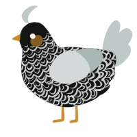 Sneak 2000, a black and silver chicken with a double-lace pattern