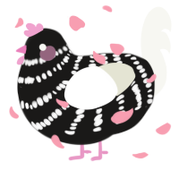 A sable and white chicken with a bar pattern