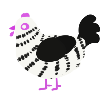 A white and black chicken with a bar pattern