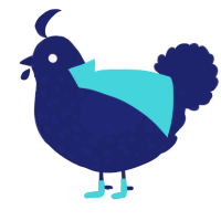 A navy chicken with a speckle pattern
